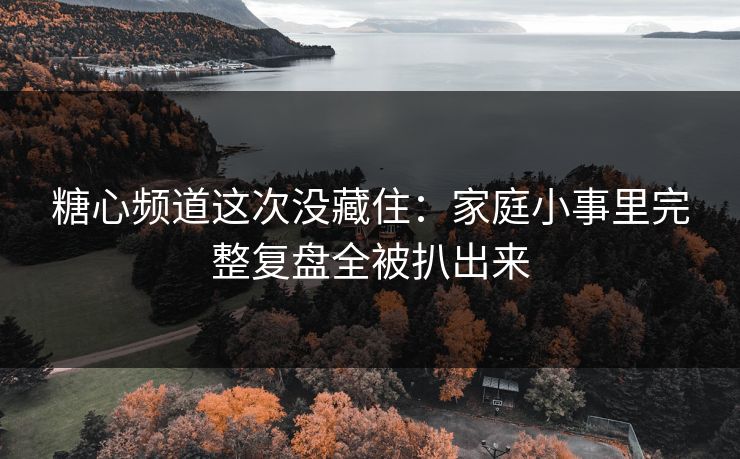 糖心频道这次没藏住：家庭小事里完整复盘全被扒出来